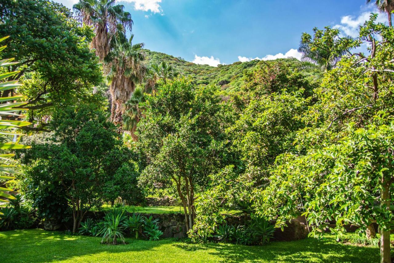 Casa Galeana- Tropical 1-Bd 1-Wc Mountain Top Luxury Suite With Stunning Views Ajijic Εξωτερικό φωτογραφία