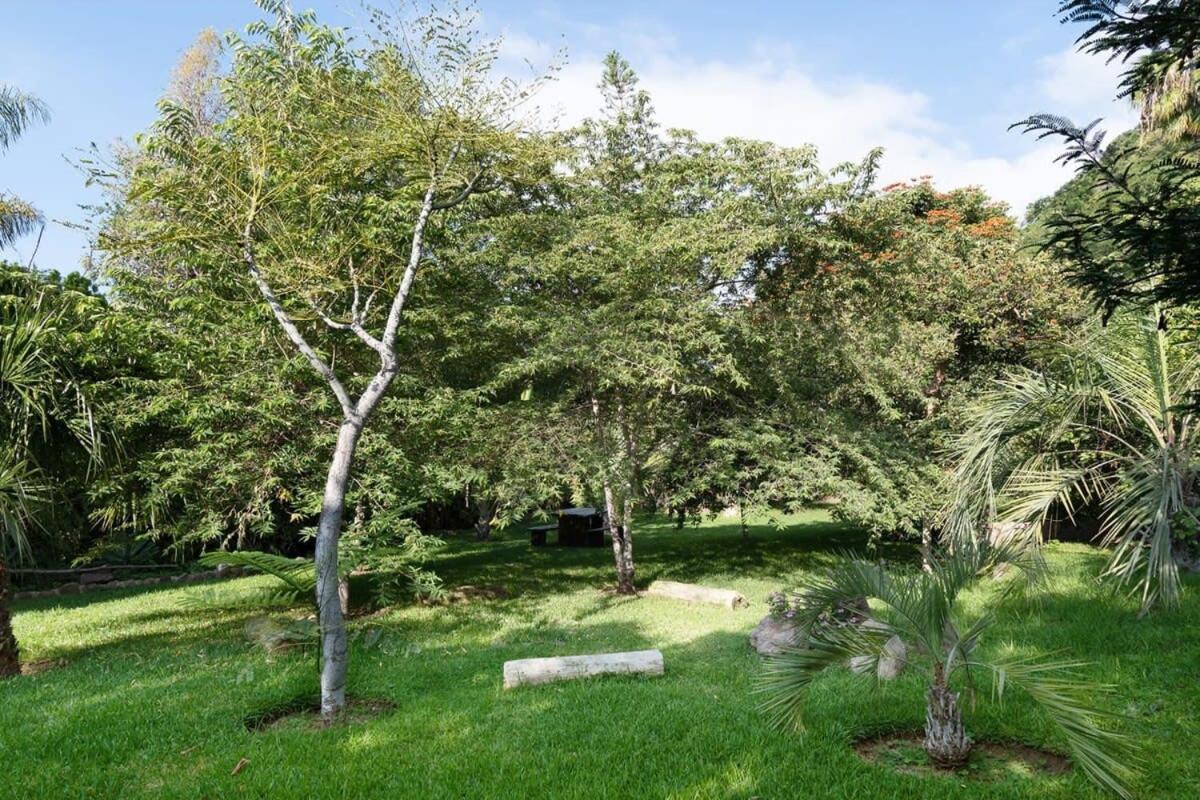 Casa Galeana- Tropical 1-Bd 1-Wc Mountain Top Luxury Suite With Stunning Views Ajijic Εξωτερικό φωτογραφία